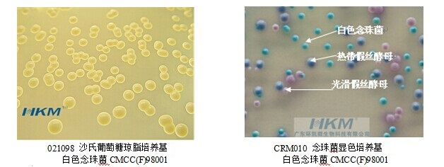 沙氏葡萄糖瓊脂培養(yǎng)基 沙氏葡萄糖瓊脂培養(yǎng)基