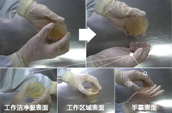 沉降皿法檢測 沉降皿法檢測