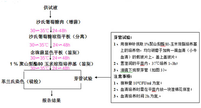 白色念珠菌檢測(cè)流程 白色念珠菌檢測(cè)流程