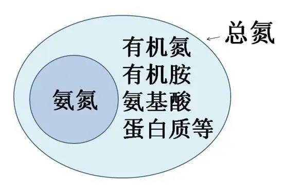 氨氮和總氮的聯(lián)系